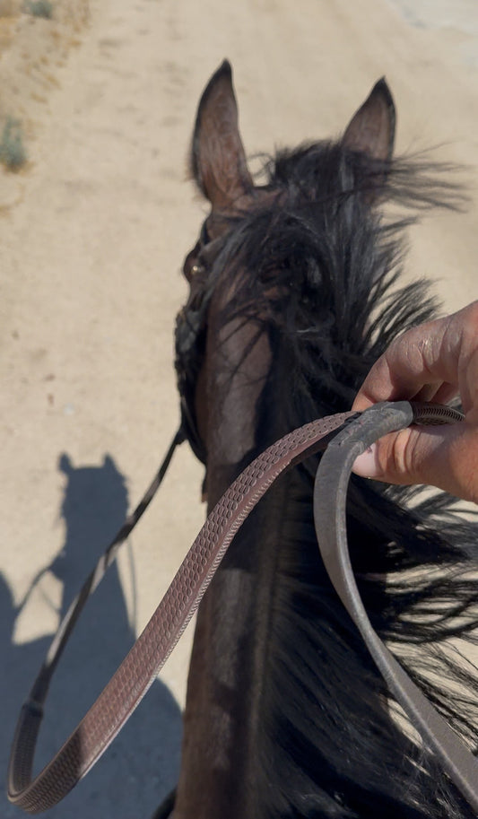 Loose Rein, Relaxed Mind: Why I’m Obsessed With Minimal Rein Pressure