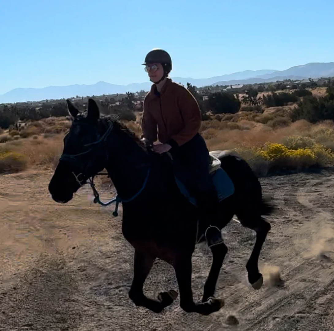 Why Your Horse Spooks on Trails (And Why the Trail Might Be Exactly What They Need)