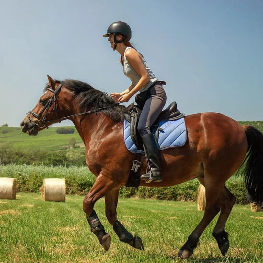 Dressing Up for Your First Horse Riding Lesson: Fashionable and Safe! - Socal Horse Adventures