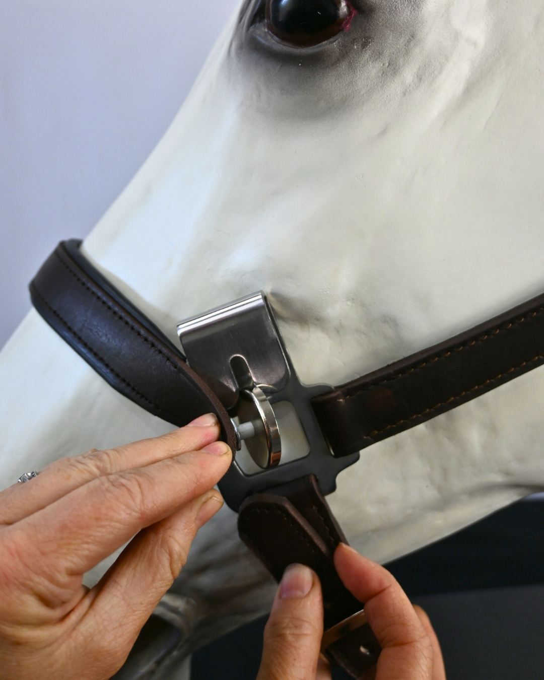 Magna Halter ™ in Black With Leather Breakaway