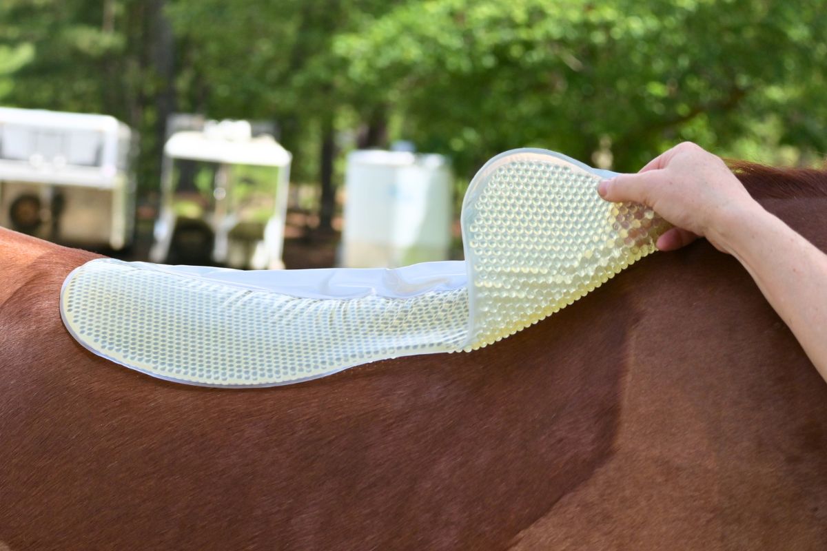 VIP Saddle Pad