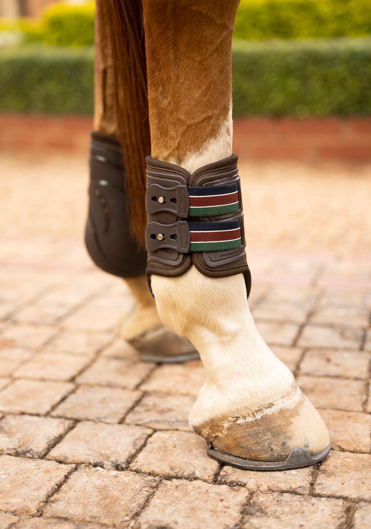 Espoir Back Boots NEW LOWER PRICE!!!