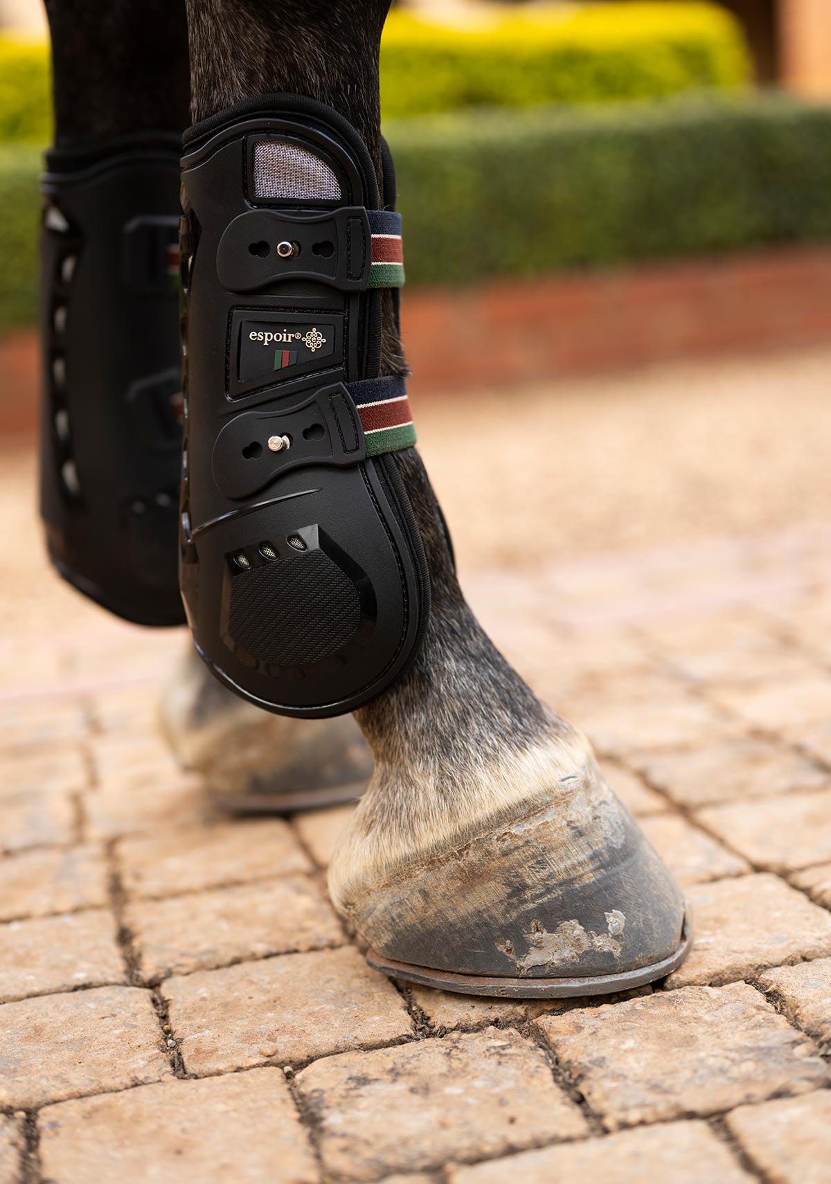 Espoir Front Tendon Boots NEW LOWER PRICE!!!