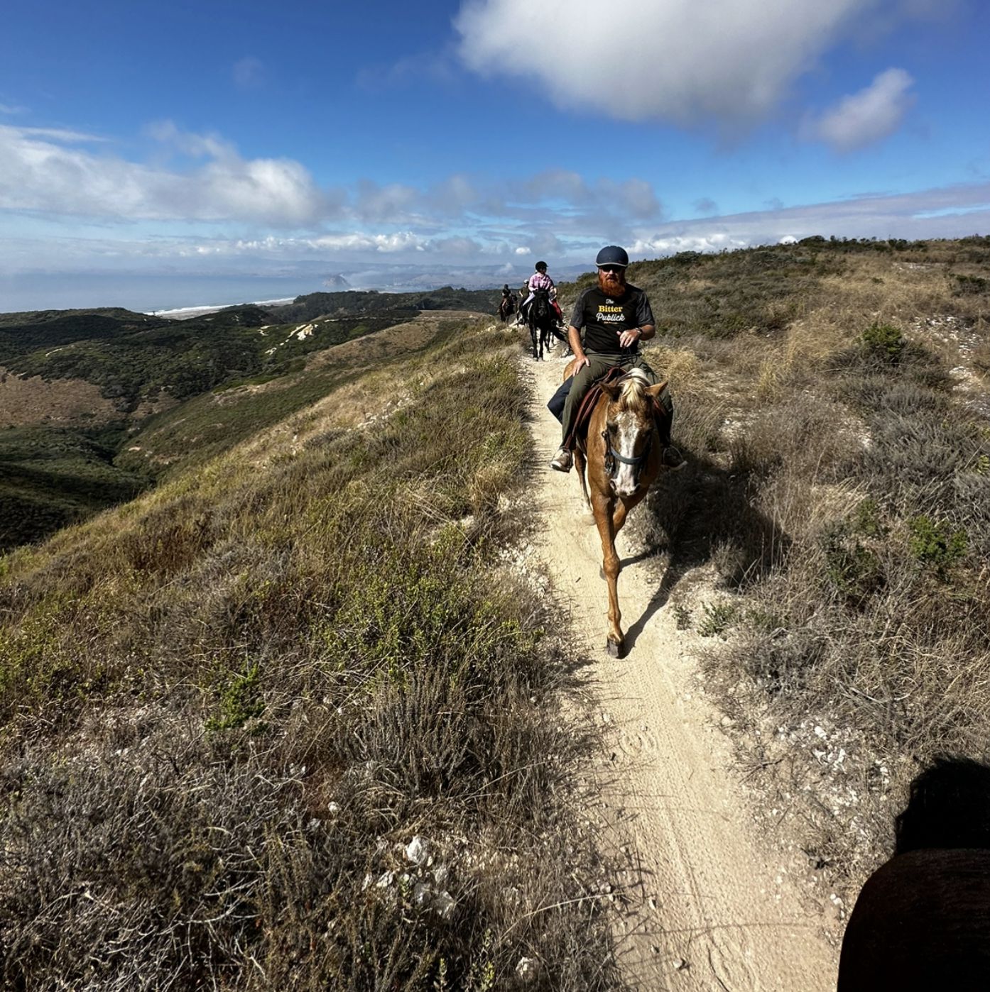 Private rides on endurance horses