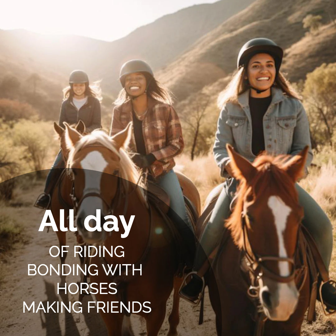 HORSE CLUB – It's all about friendship and a love of riding here