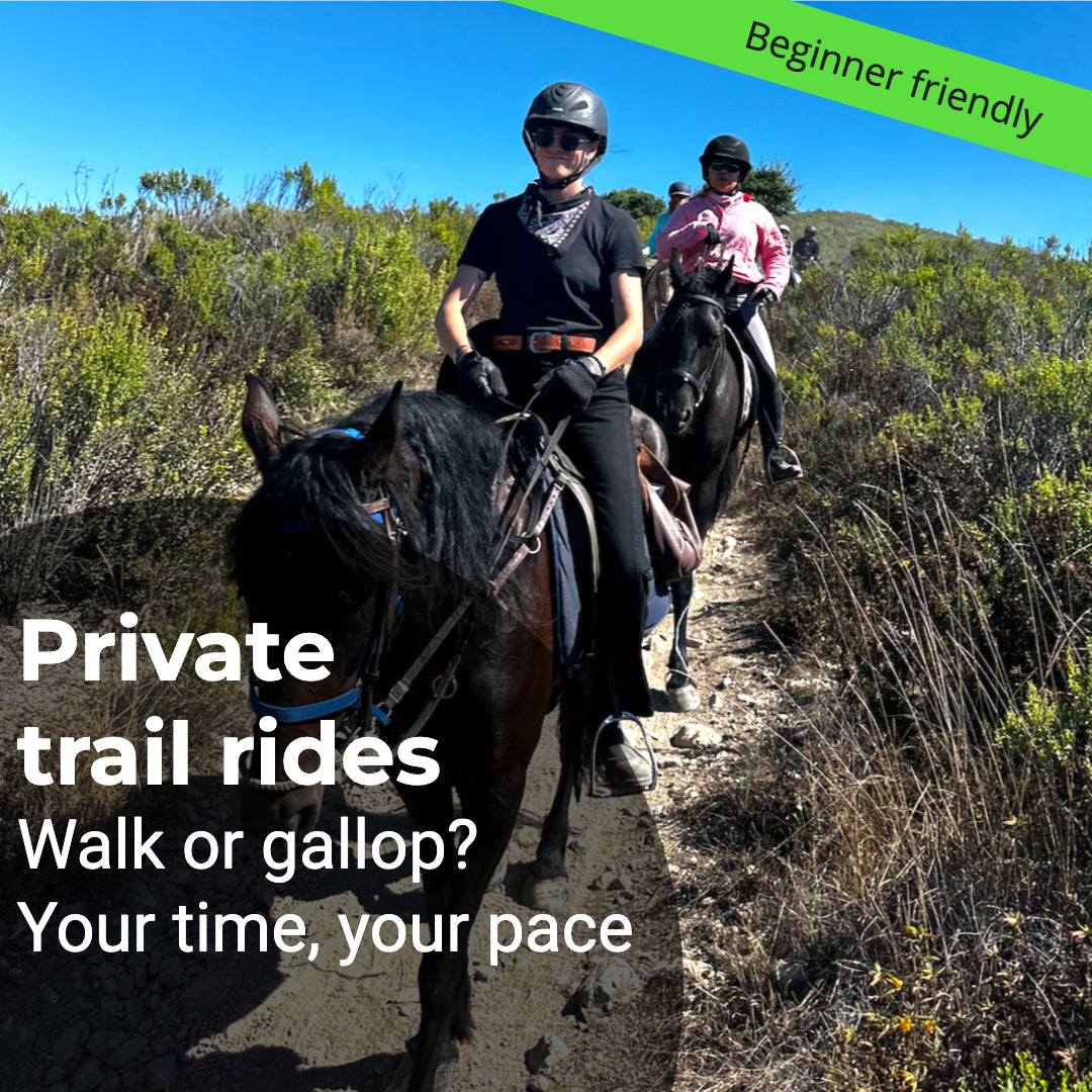 Private trail ride in Palmdale Socal Horse Adventures