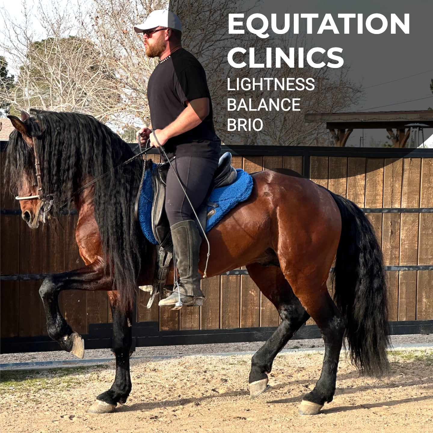 Equitation Clinics