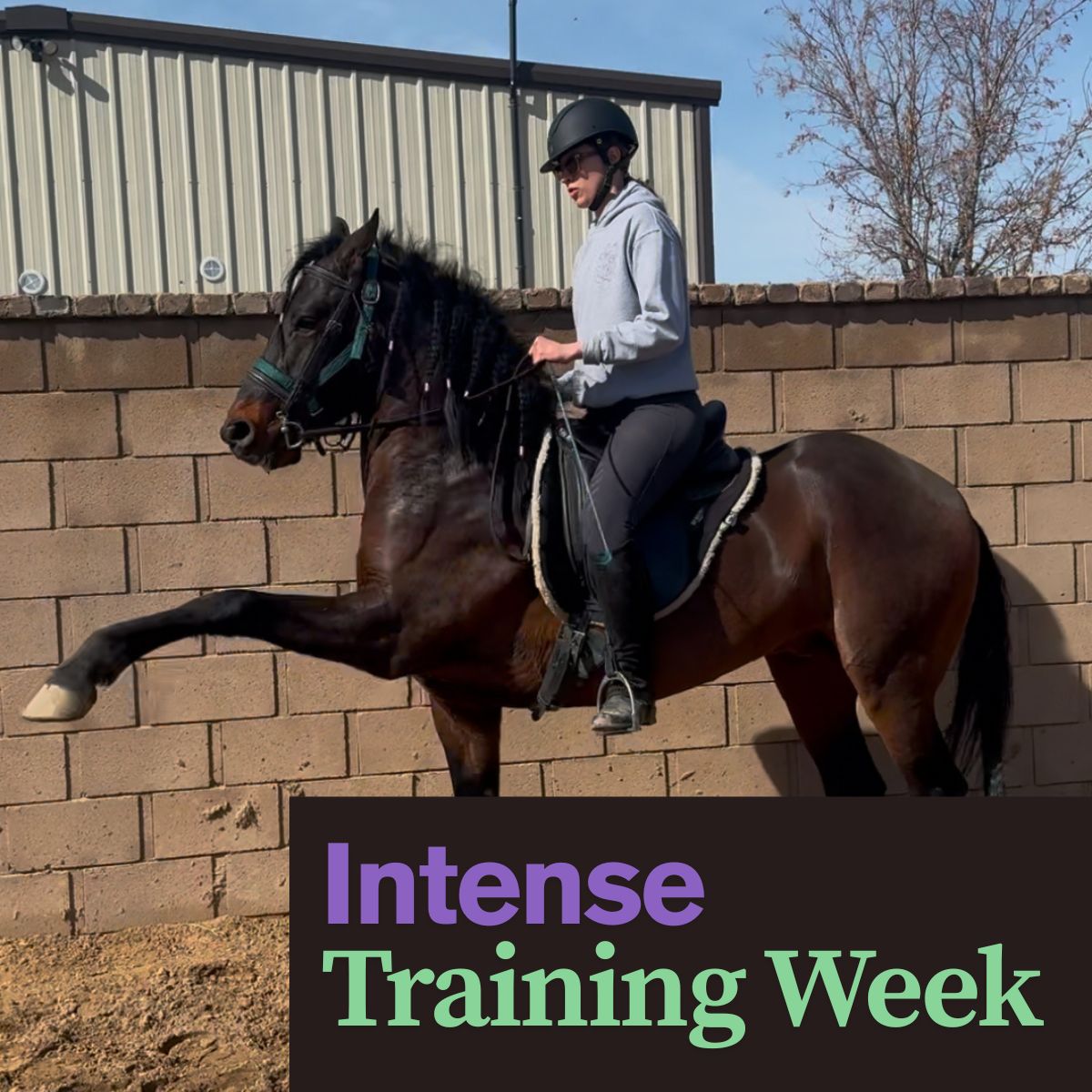 5-Day Intensive Riding Clinic