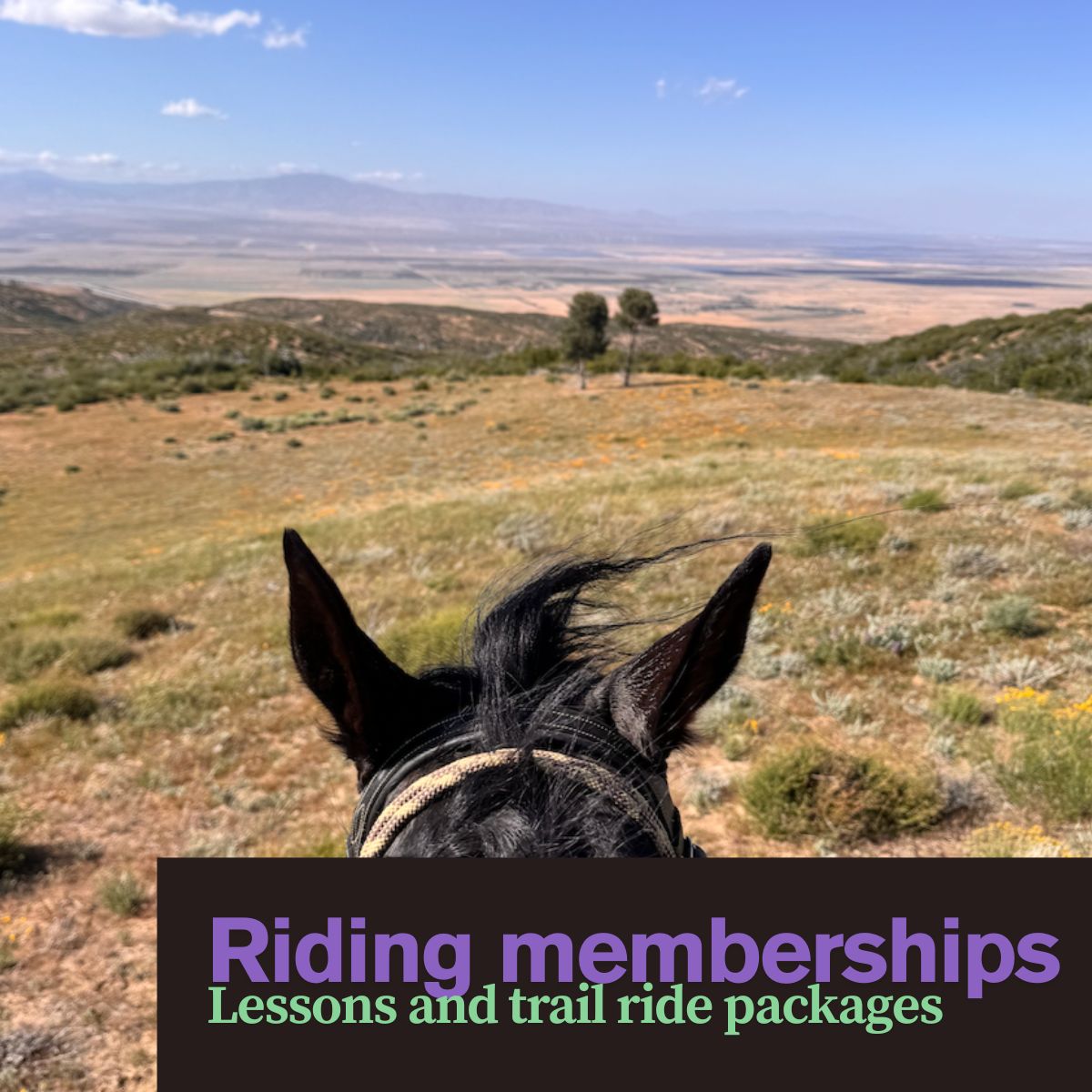 Riding Memberships