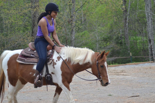 Horse Riding Lessons, 4 Leg Adventures