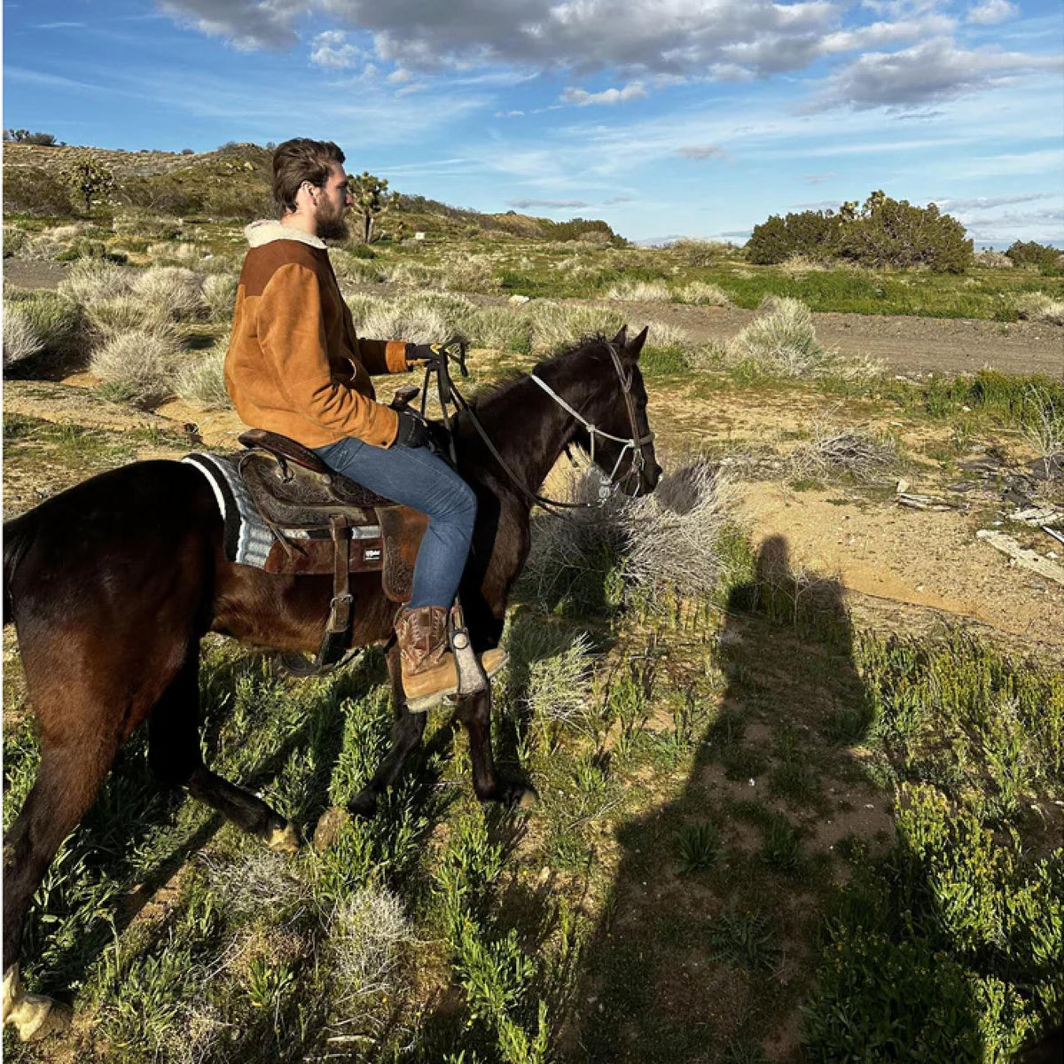Private trail ride in Palmdale Socal Horse Adventures