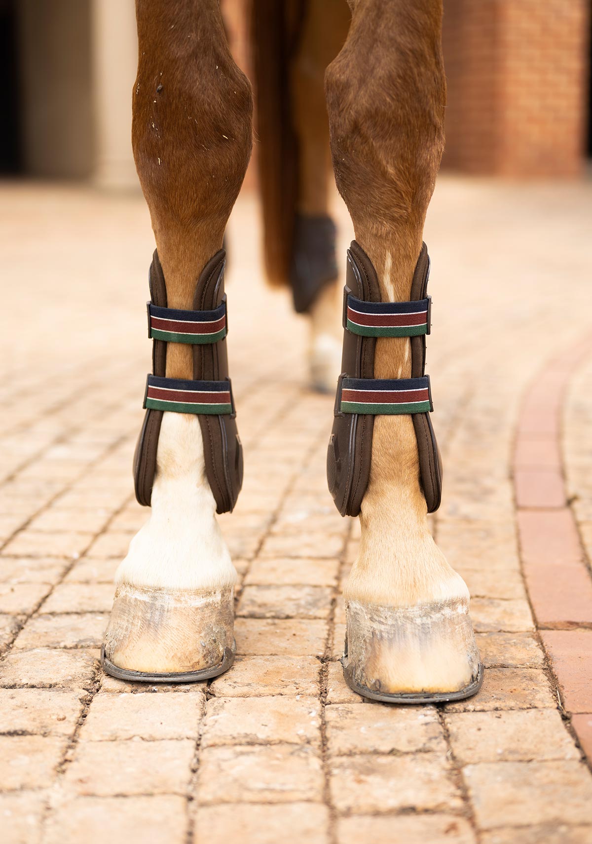 Espoir Front Tendon Boots NEW LOWER PRICE!!!
