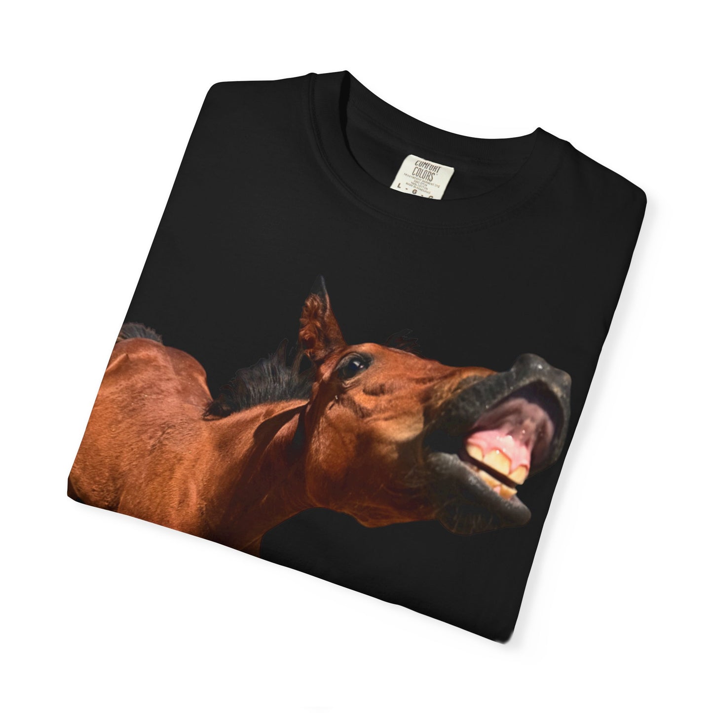 Smiling Horse Graphic T-Shirt — Funny Equine Photo Tee