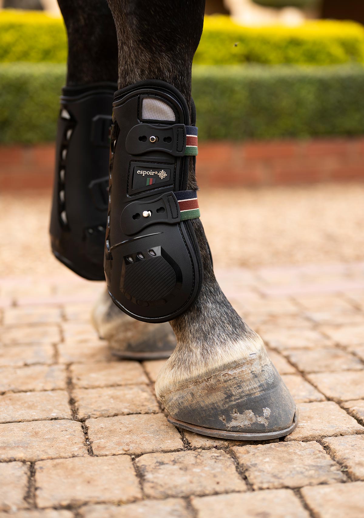 Espoir Front Tendon Boots NEW LOWER PRICE!!!