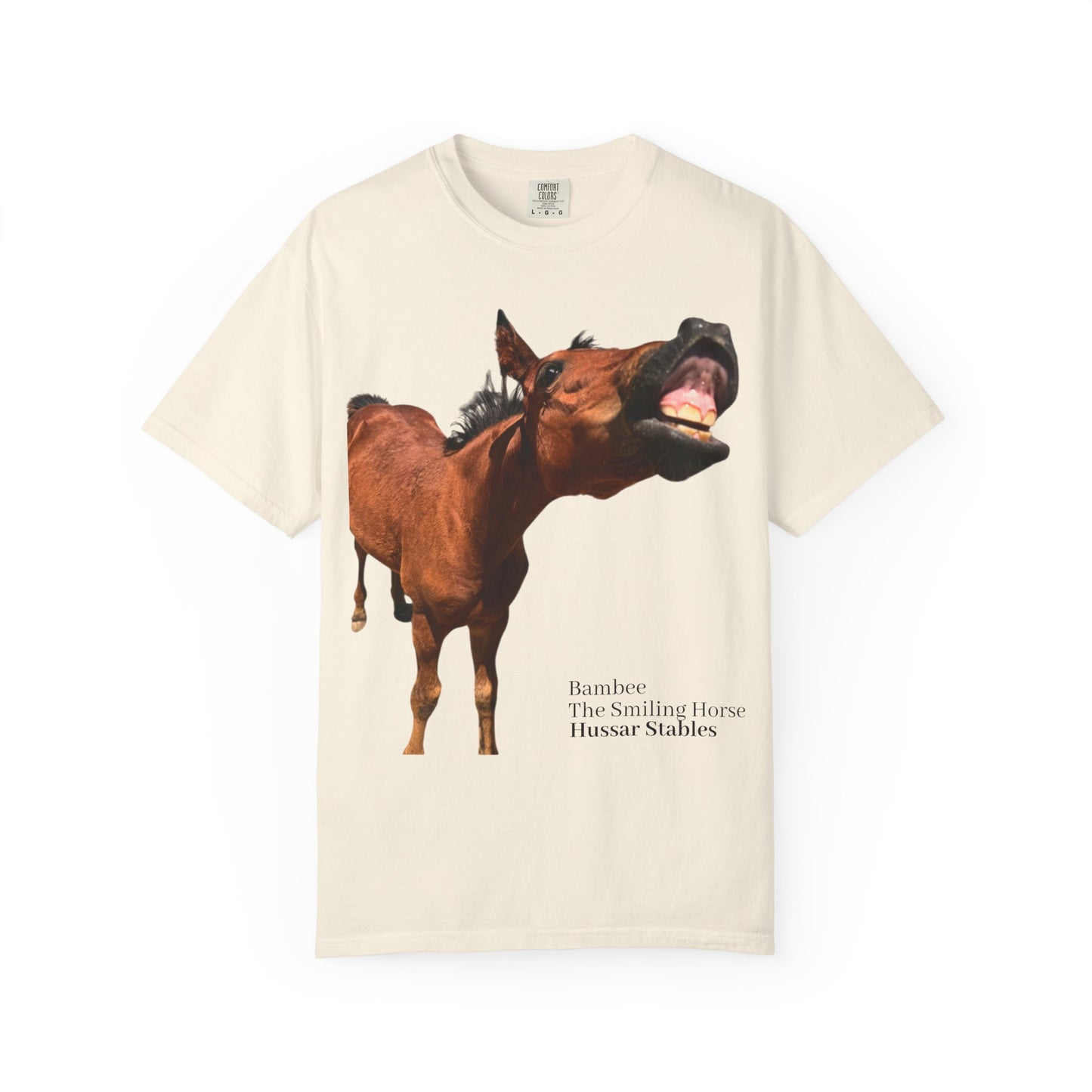 Smiling Horse Graphic T-Shirt — Funny Equine Photo Tee