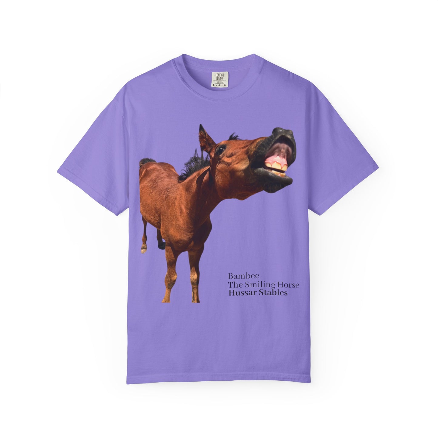 Smiling Horse Graphic T-Shirt — Funny Equine Photo Tee