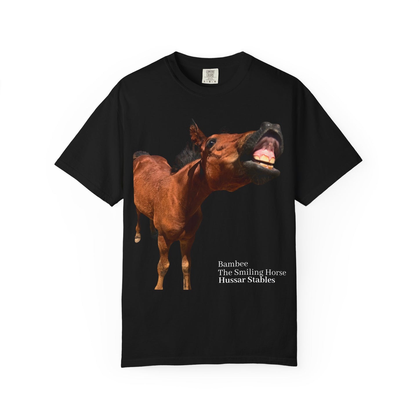 Smiling Horse Graphic T-Shirt — Funny Equine Photo Tee