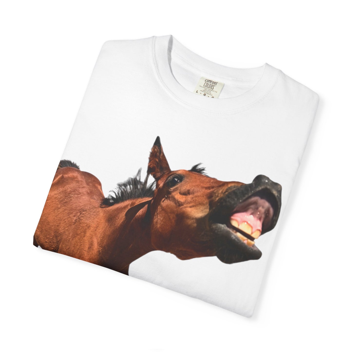 Smiling Horse Graphic T-Shirt — Funny Equine Photo Tee