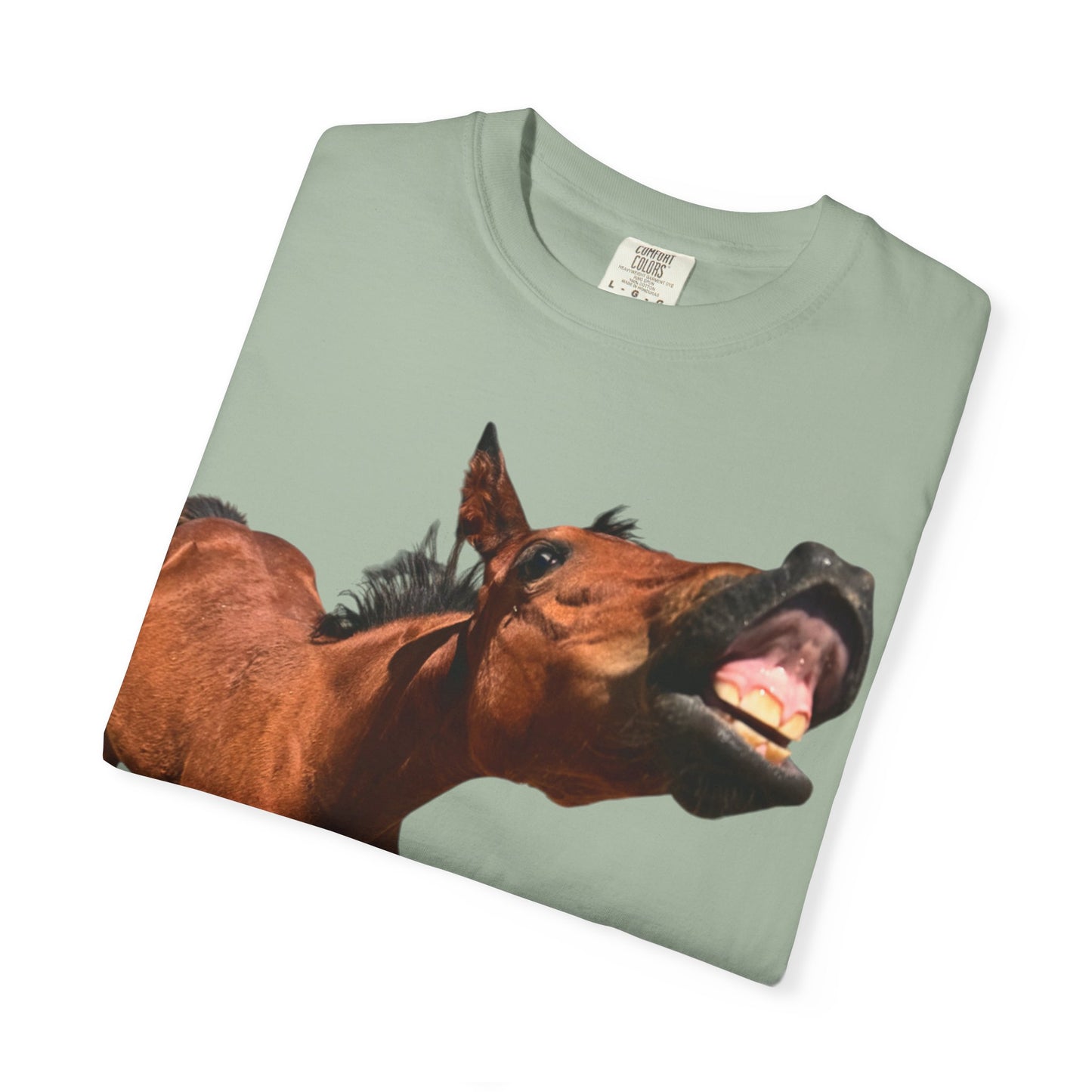 Smiling Horse Graphic T-Shirt — Funny Equine Photo Tee