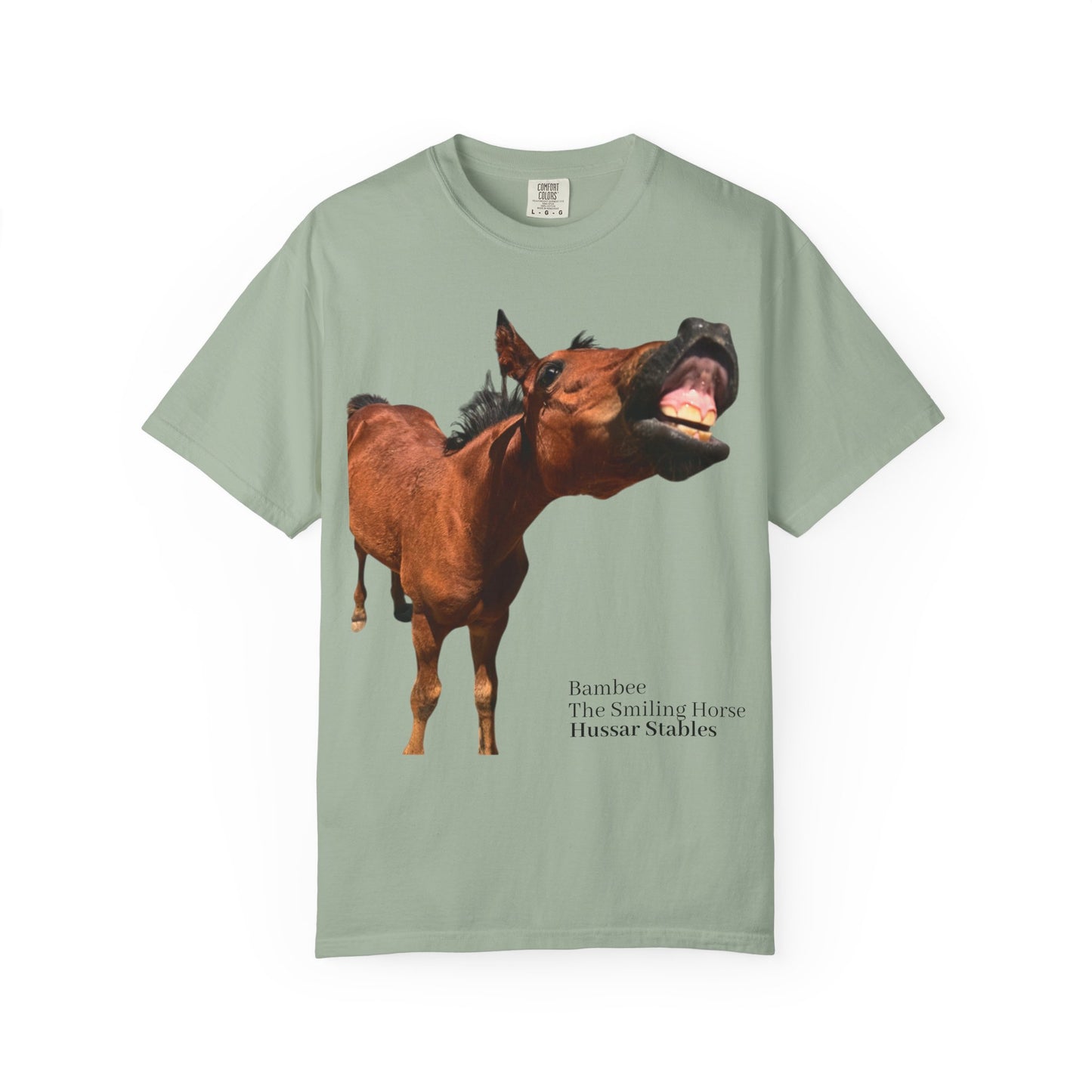 Smiling Horse Graphic T-Shirt — Funny Equine Photo Tee