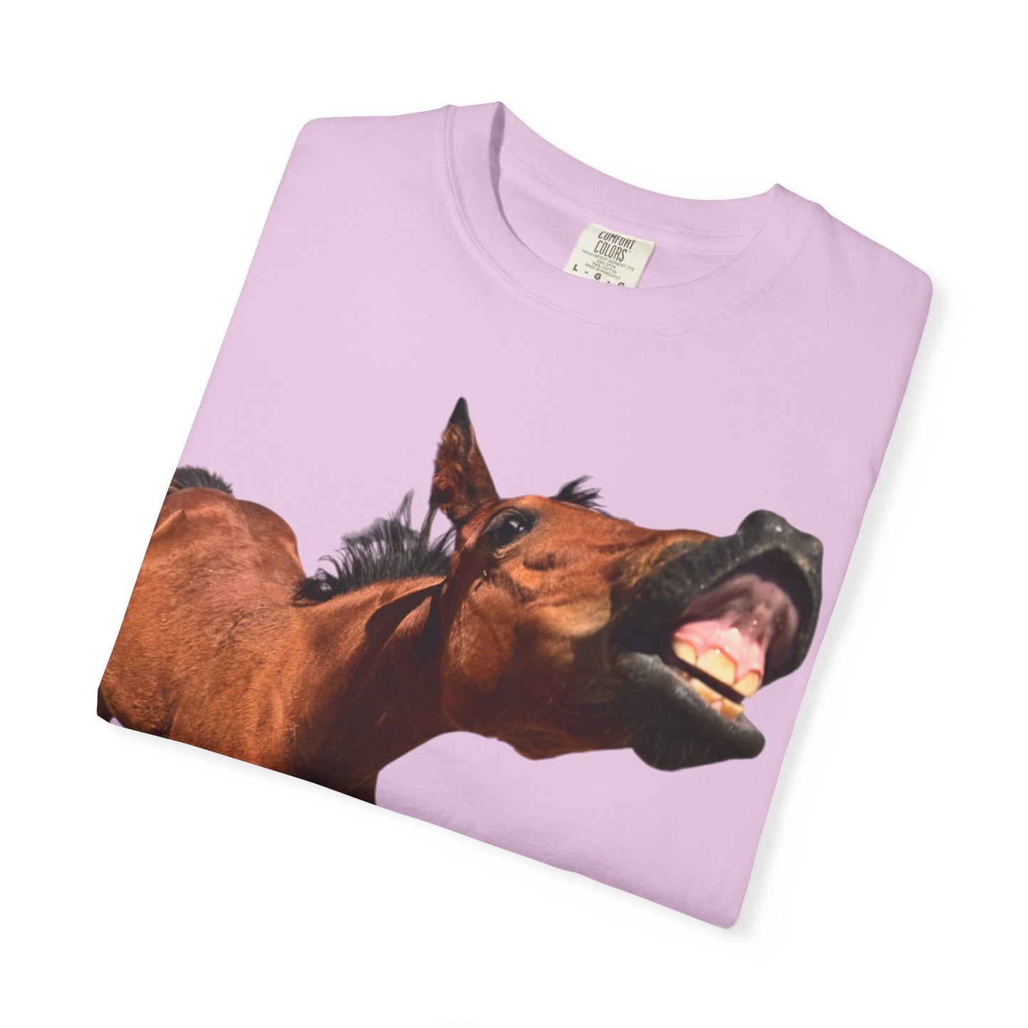 Smiling Horse Graphic T-Shirt — Funny Equine Photo Tee