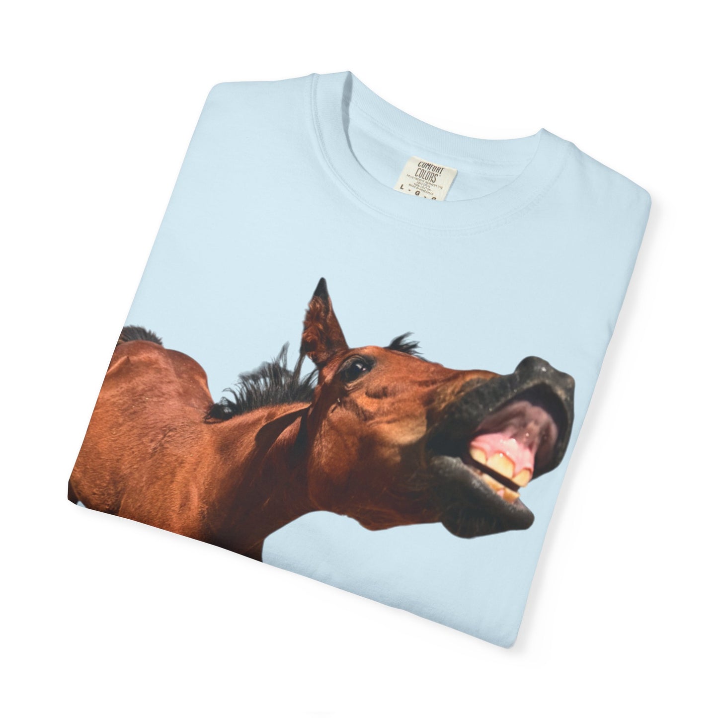 Smiling Horse Graphic T-Shirt — Funny Equine Photo Tee