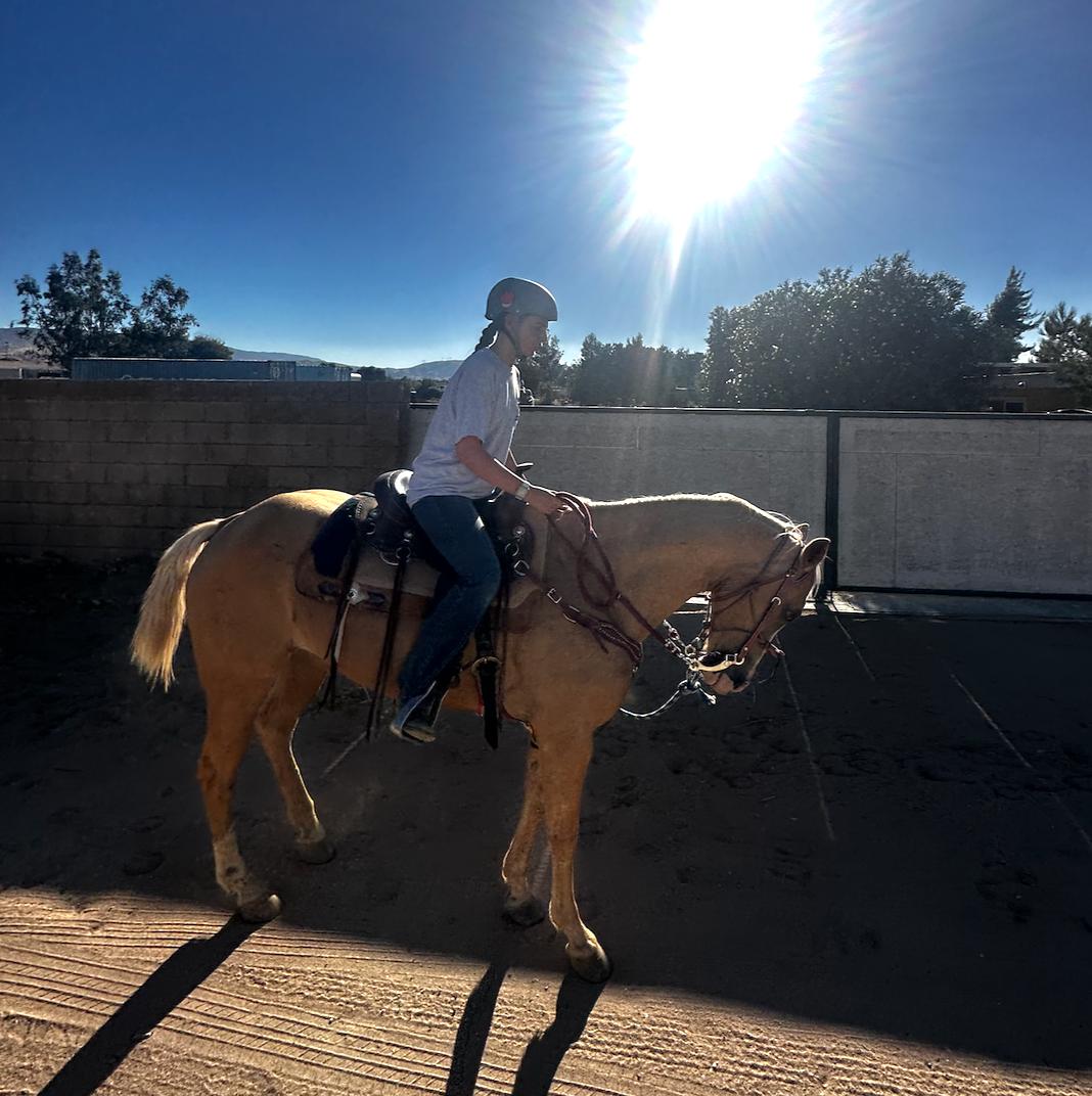 Private trail ride in Palmdale Socal Horse Adventures