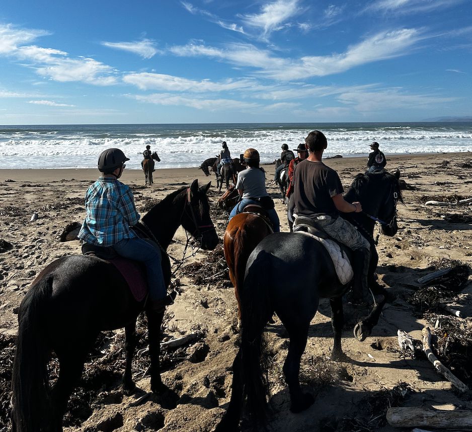 Horse riding hotsell and camping