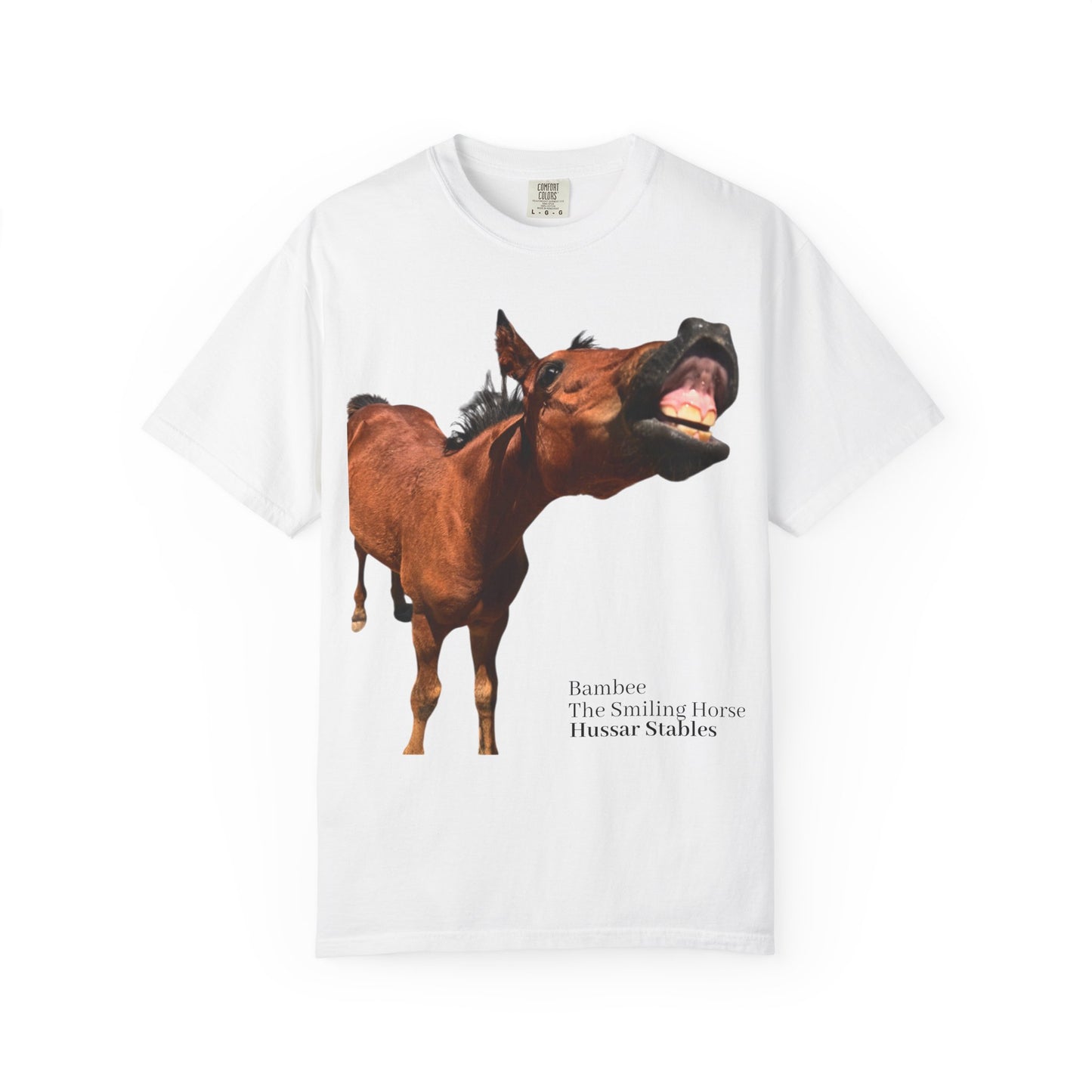 Smiling Horse Graphic T-Shirt — Funny Equine Photo Tee