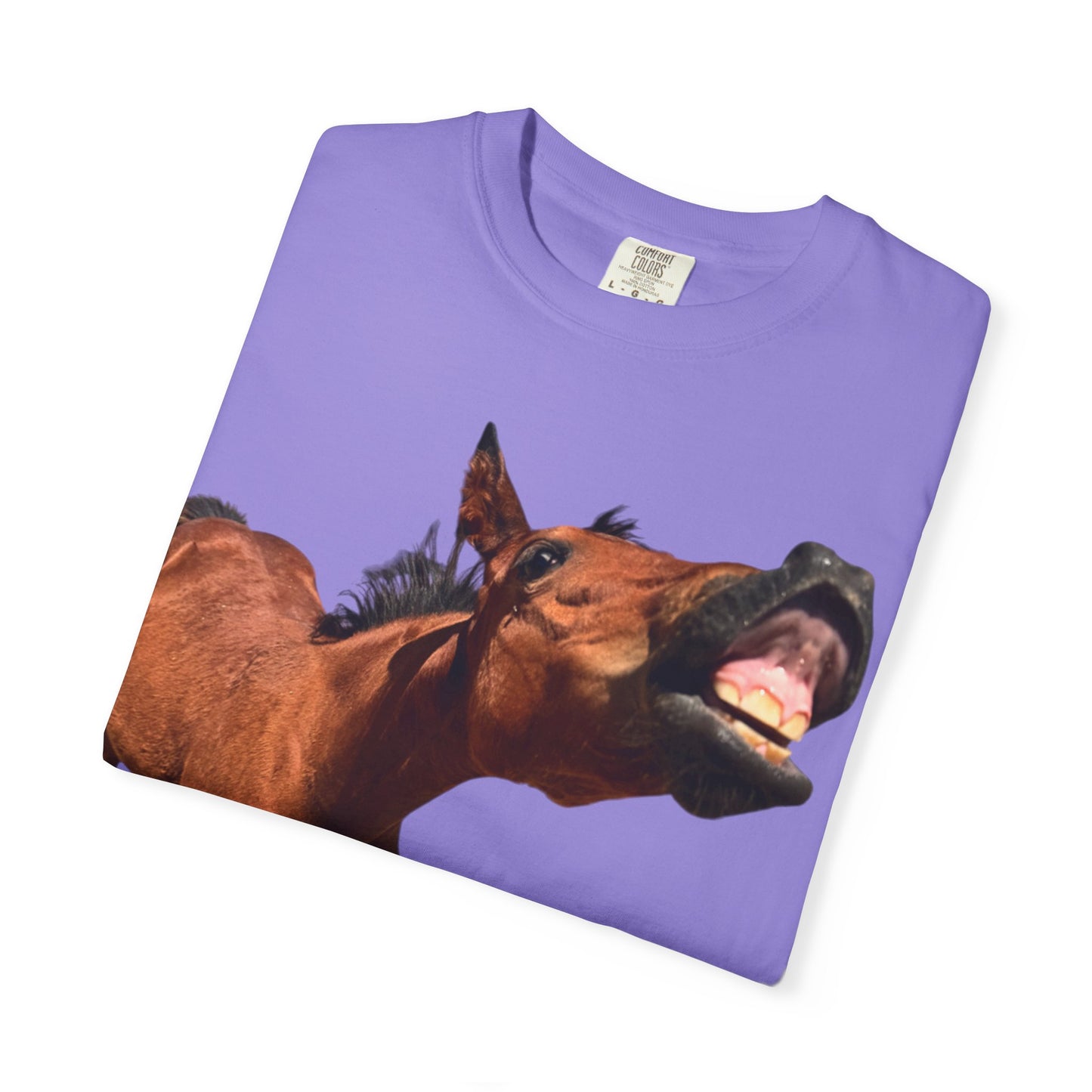 Smiling Horse Graphic T-Shirt — Funny Equine Photo Tee
