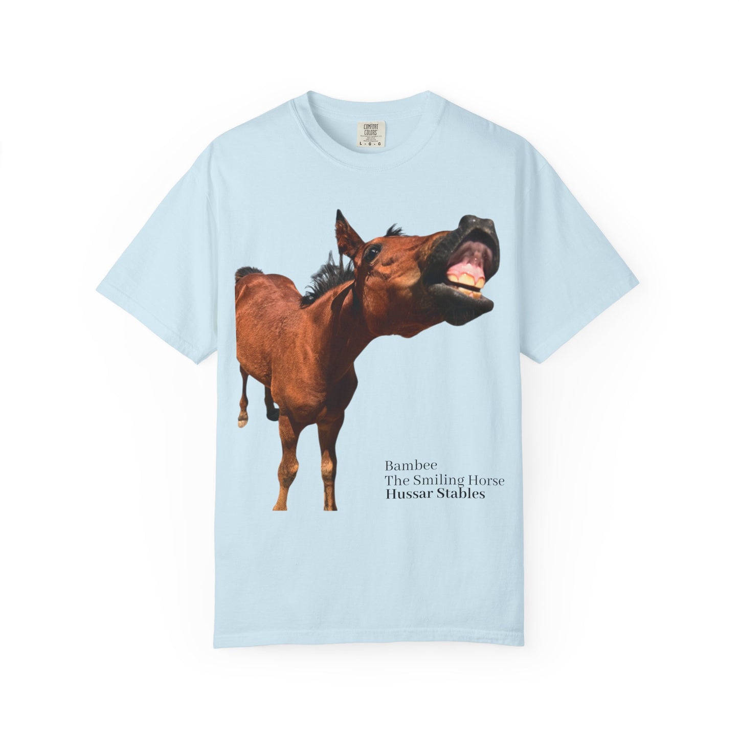 Smiling Horse Graphic T-Shirt — Funny Equine Photo Tee