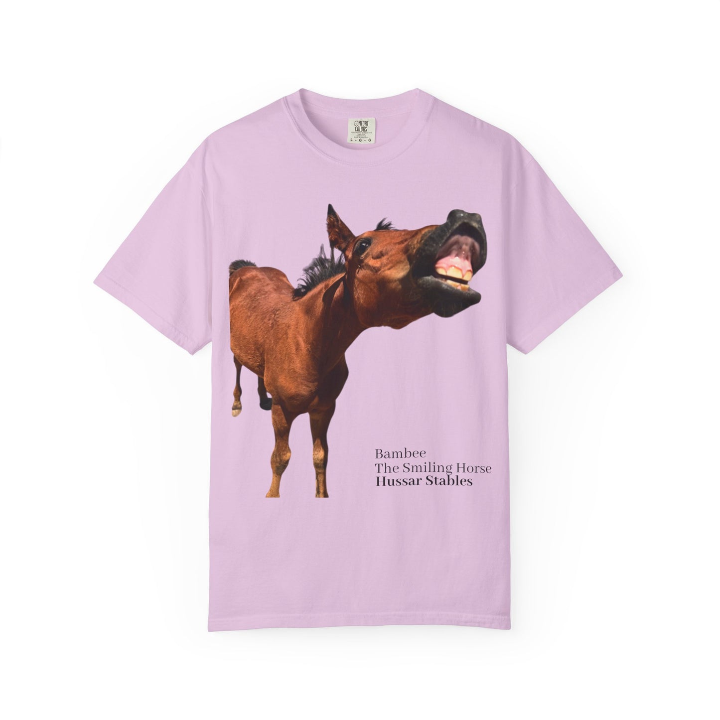 Smiling Horse Graphic T-Shirt — Funny Equine Photo Tee
