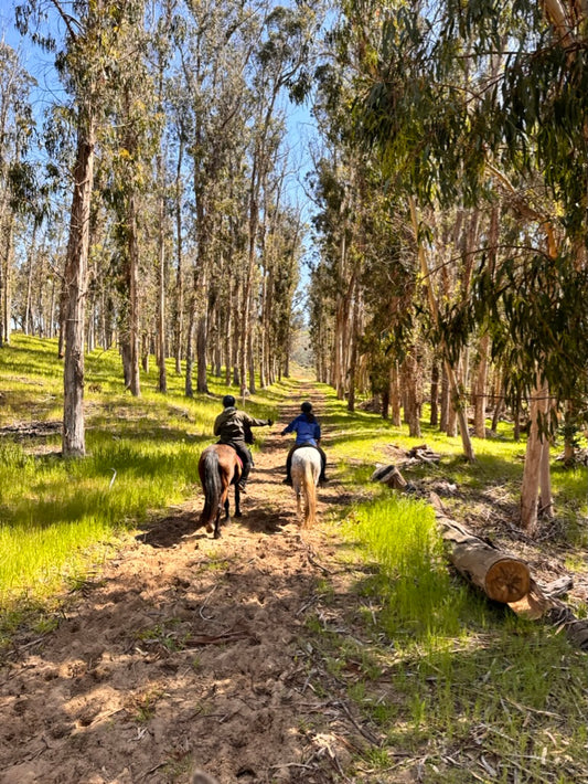 July 24-27 Camping Trip- Club Members Only