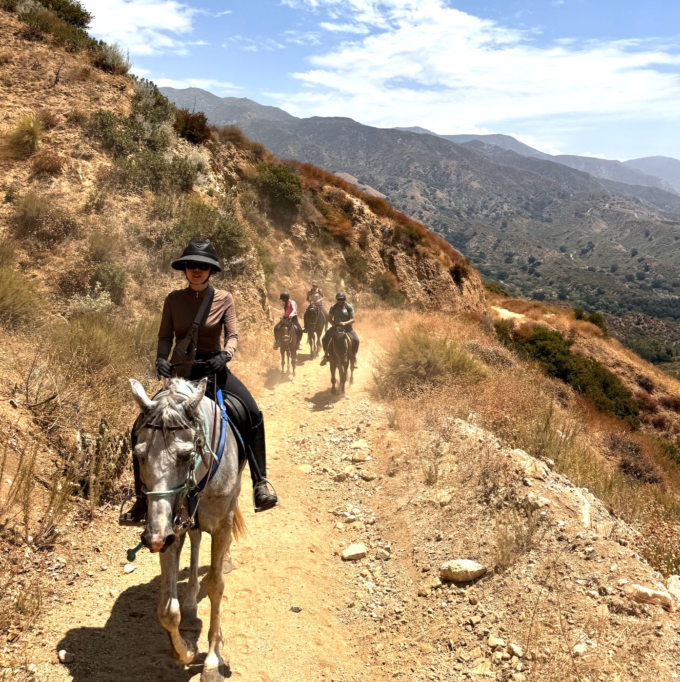 Private rides on endurance horses