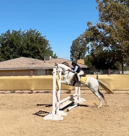 Riding Lessons for All Levels with Adam