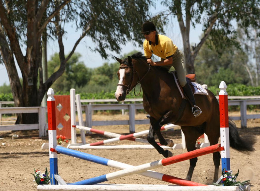 Introduction to jumping- intense weekend clinic