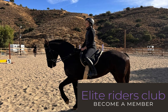 Socal Horse Adventures