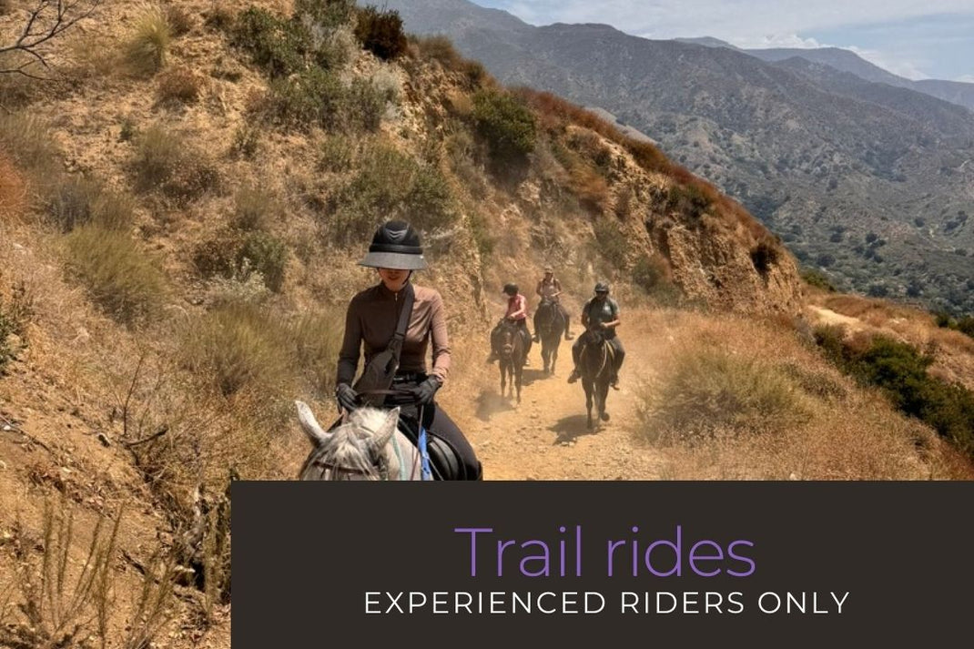 Socal Horse Adventures