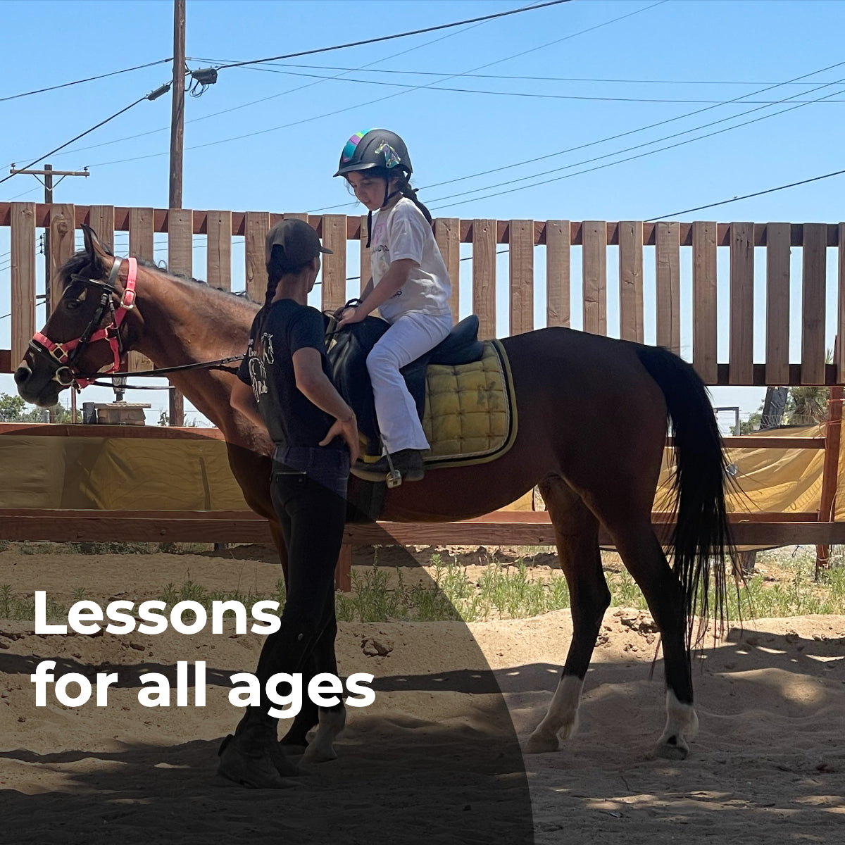 Horse riding lessons