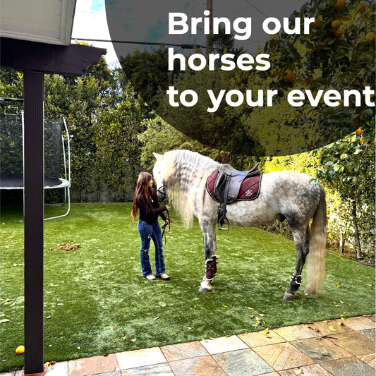 Bring horses to your parties and events